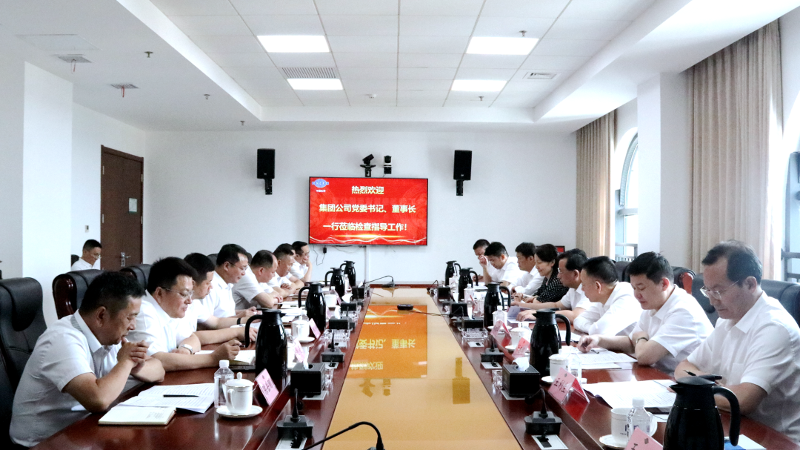 2022年6月，集團公司黨委書記、董事長戴和根一行到公司調研指導工作